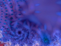 Seabed