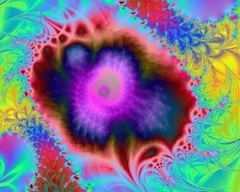 Purple rose