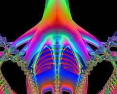 Rib cage