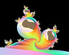 molluscs