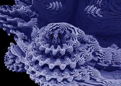 Mandelbulb011a