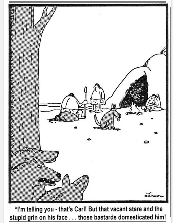 Domestication