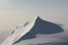 Stralhorn
