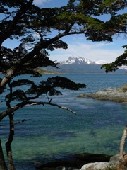 Back in Tierra del Fuego