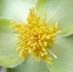 DSC00506b