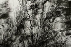 IMG_8977a