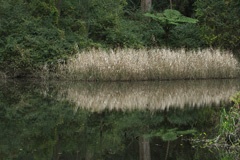 IMG_8997a