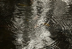 IMG_0294a