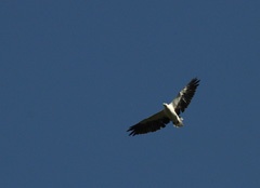 IMG_8658a