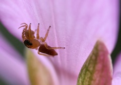 IMG_0597a