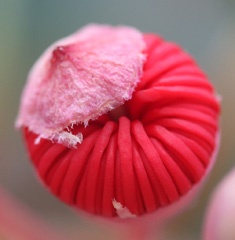 IMG_2577b