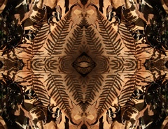 IMG_4176Mod4