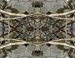 IMG_4233Mod1a