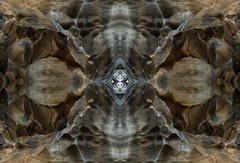 IMG_4941Mod4