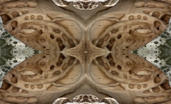 IMG_6424Mod6b