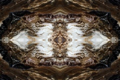 IMG_6831Mod10