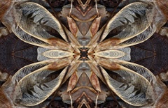 IMG_8835Mod5