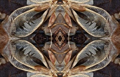 IMG_8835Mod6