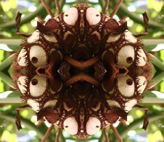 IMG_9742Mod1b
