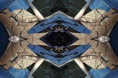IMG_9794Mod1