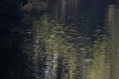 IMG_0228a