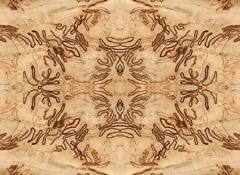 IMG_0510Mod1a