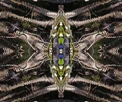 IMG_3618Mod7
