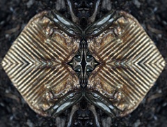 IMG_4848Mod3