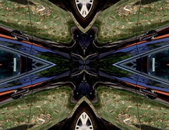 IMG_7001Mod1a