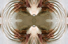 IMG_3811Mod2