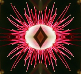 KIMG_0377bMod1