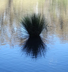 DSC00048a