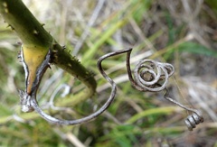 DSC01930a