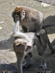 Not now, I've got a headache!