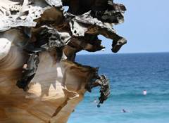 Natural sculpture
