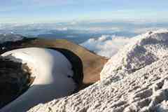 The top