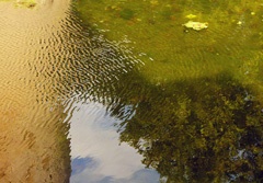Aigues Mortes, moat