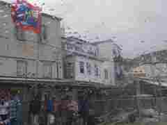 Hydra through rain