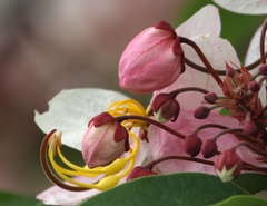 IMG_4372c