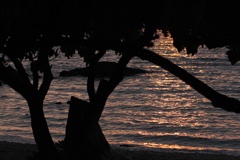 IMG_3914a