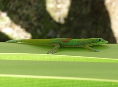 DSC08765a