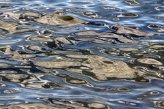 IMG_4962a