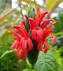 DSC08870a