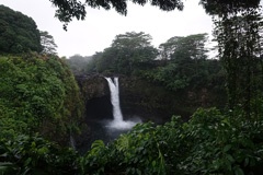 DSC08908a
