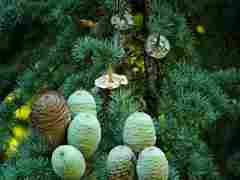 Cones again