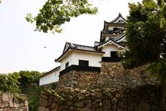 Hikone Castle