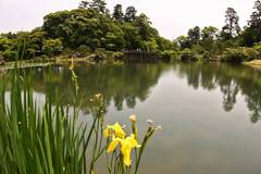 Genkyu-en Garden, Hikone