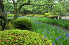 Kenrokuen Garden, Kanazawa