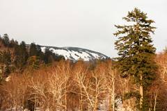 Asahidate Onsen