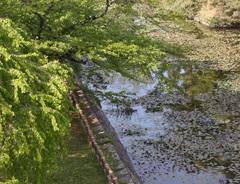 Moat